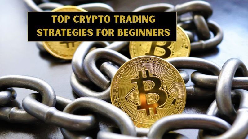 Top Crypto Trading Strategies for Beginners